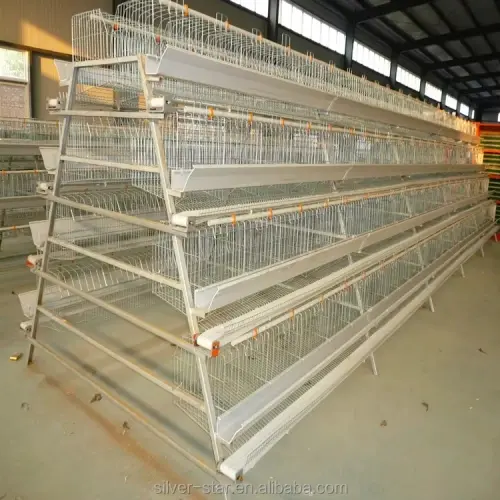 Animal Husbandry & Cage Binding Animal Husbandry & Cage Binding